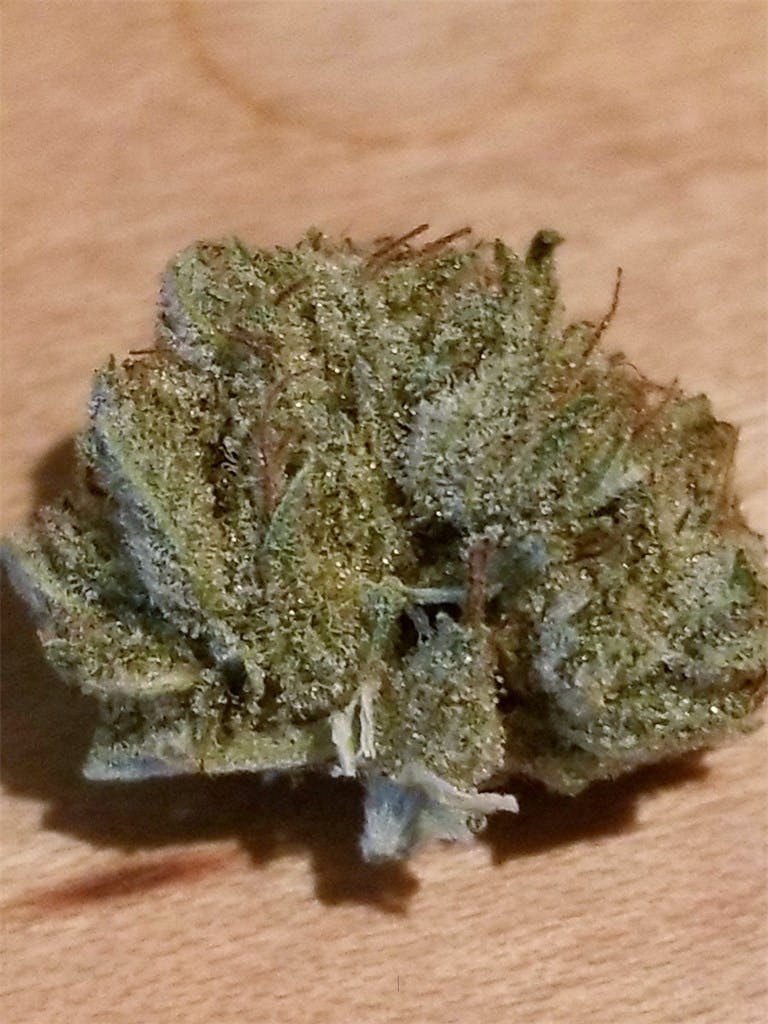 Papaya Weed Strain Information Leafly