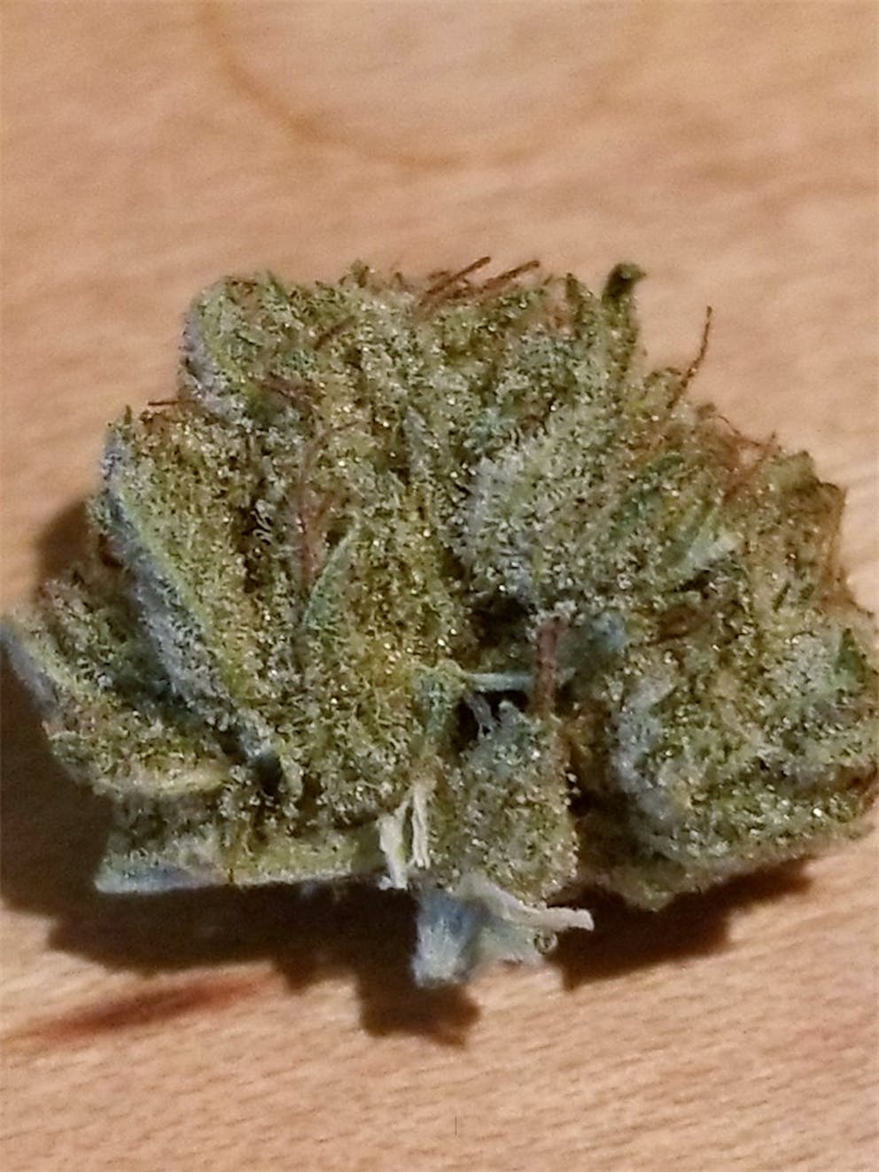 Photos of Papaya Weed Strain Buds Leafly