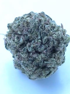 User uploaded image of Papaya