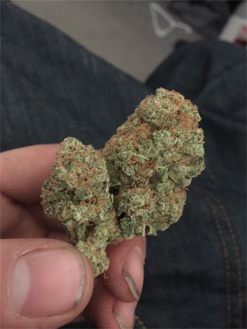 Photos of Papaya Weed Strain Buds Leafly