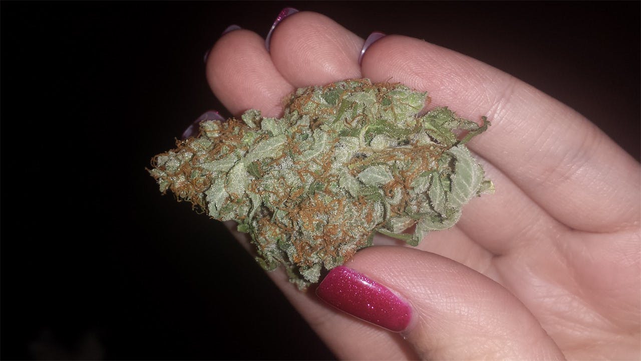 Photos of Papaya Weed Strain Buds Leafly