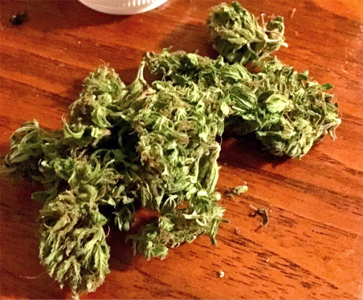 Photos of Papaya Weed Strain Buds Leafly
