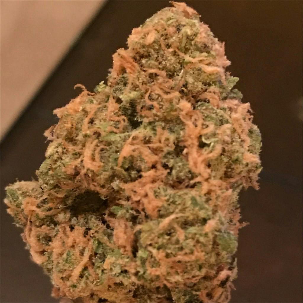 Papaya Weed Strain Information Leafly