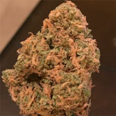 User uploaded image of Papaya