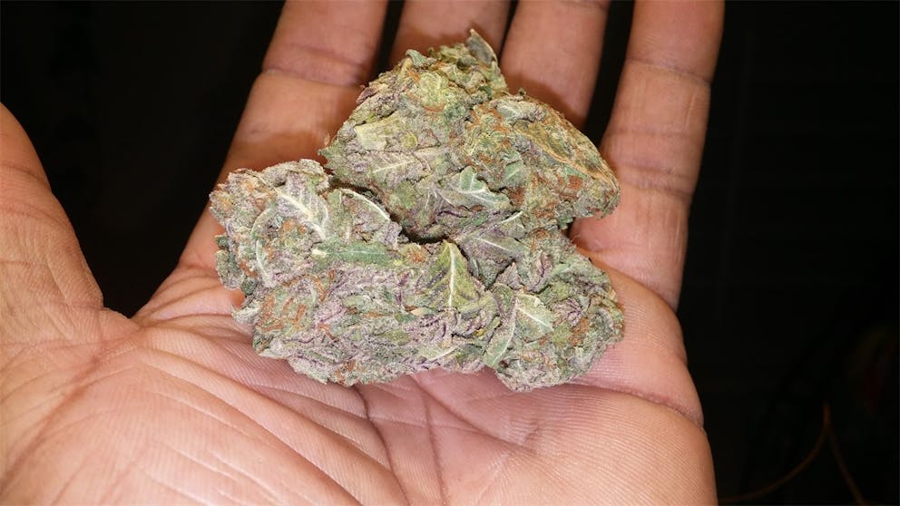 Photos of Papaya Weed Strain Buds Leafly