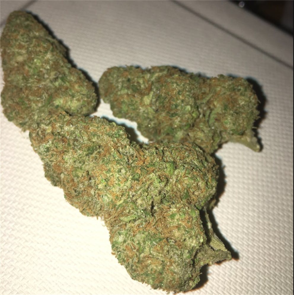 Photos of Papaya Weed Strain Buds Leafly