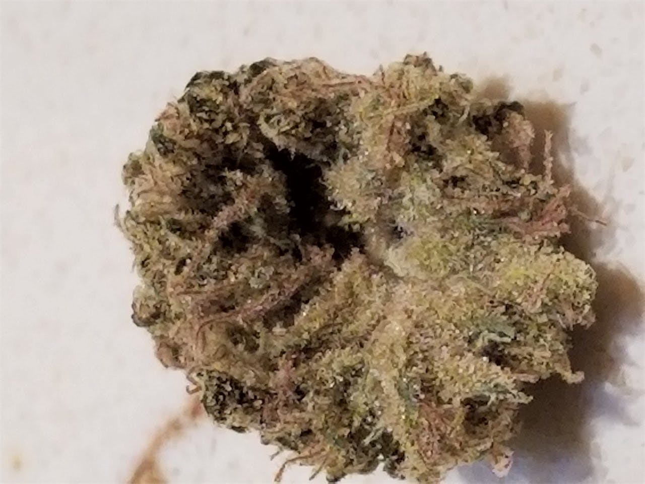 Papaya Weed Strain Information Leafly