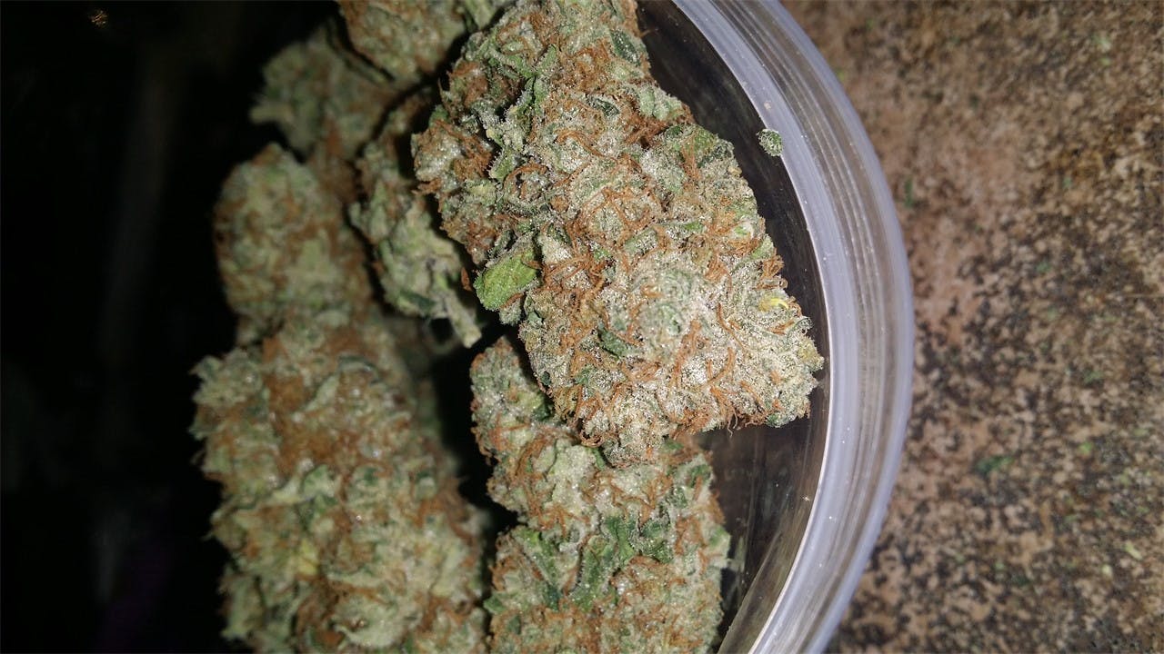 Photos of Papaya Weed Strain Buds Leafly