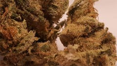 User uploaded image of Paris OG