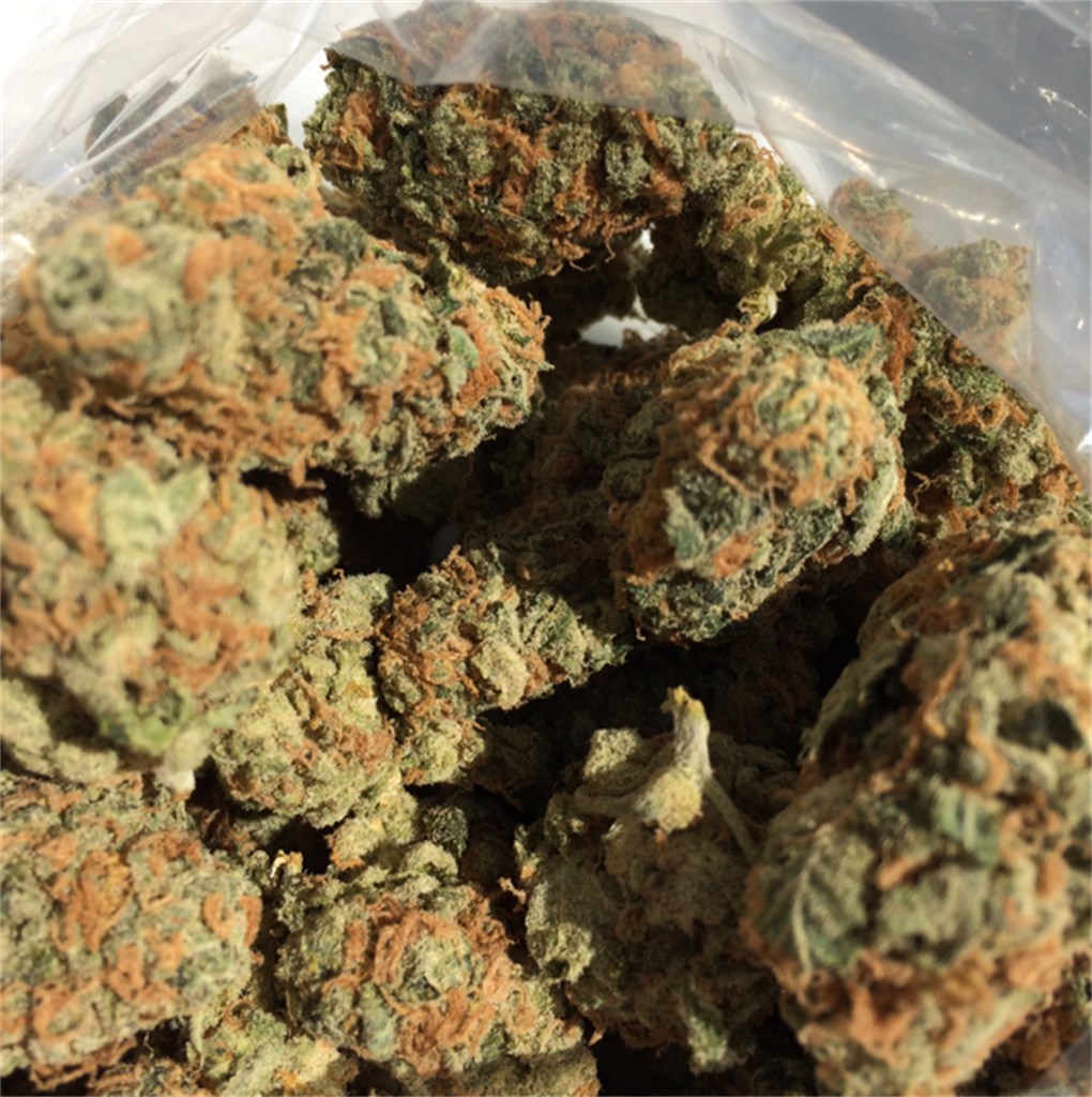 JetPack  FJ1 King Louis - Statis Cannabis Co. (Bronx, NY)