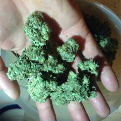 User uploaded image of Paris XXX