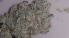User uploaded image of Pearl Scout Cookies