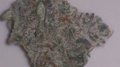 User uploaded image of Pearl Scout Cookies