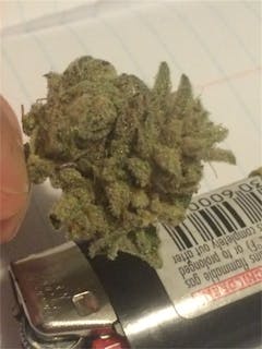 User uploaded image of Pearl Scout Cookies