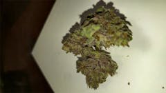 User uploaded image of Pearl Scout Cookies