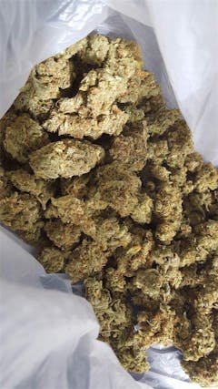 User uploaded image of Pearl Scout Cookies