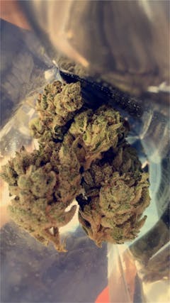 User uploaded image of Pearl Scout Cookies