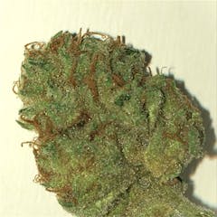 User uploaded image of Pennywise