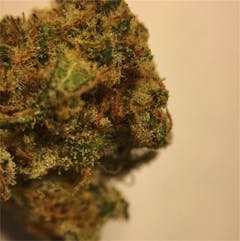 User uploaded image of Pennywise