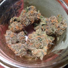 User uploaded image of Peppermint Cookies