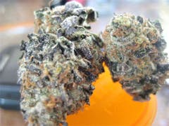 User uploaded image of Peppermint Cookies