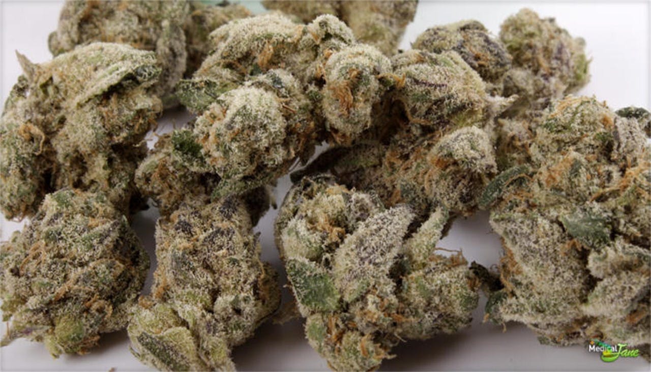 Photos of Peppermint Cookies Weed Strain Buds Leafly