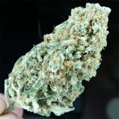 User uploaded image of Permafrost