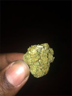 User uploaded image of Petrolia Headstash