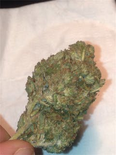 User uploaded image of Petrolia Headstash