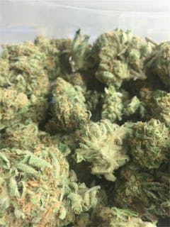 User uploaded image of Pez