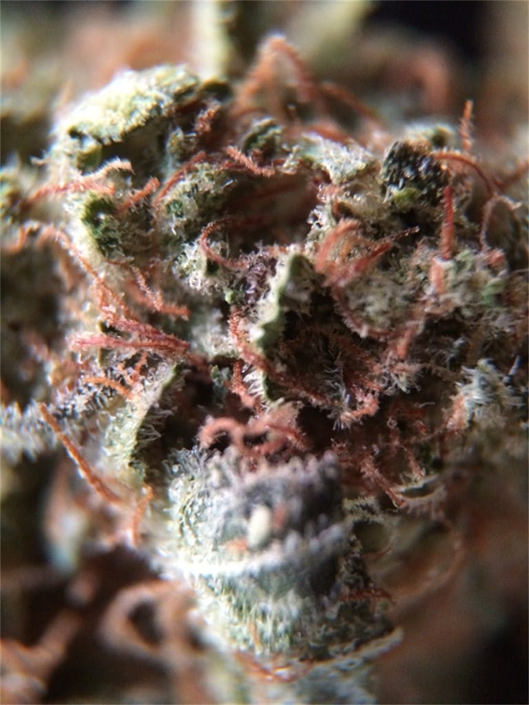 Pez Weed Strain Information Leafly