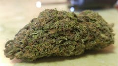 User uploaded image of Phishhead Kush