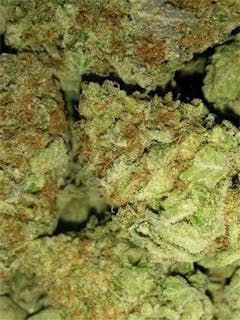 User uploaded image of Pie Face