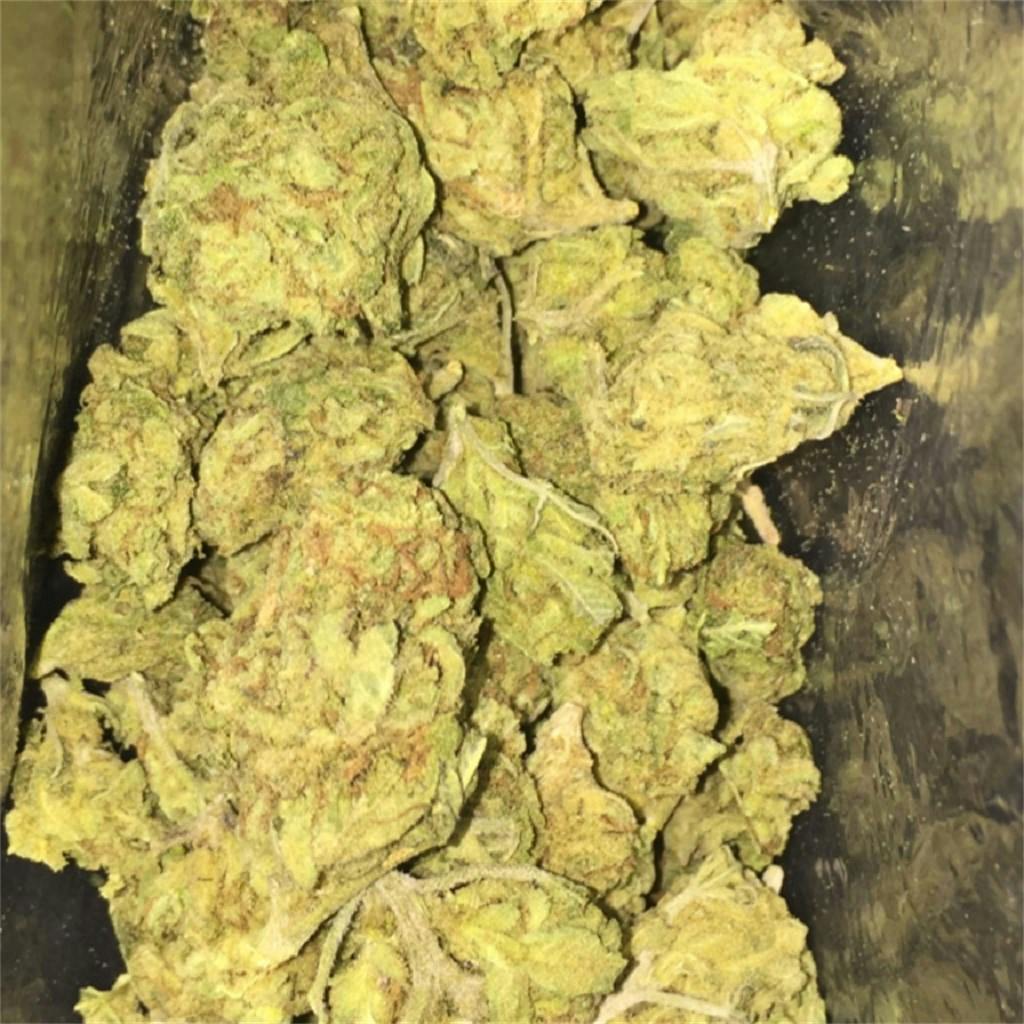 Pine Cone Weed Strain Information Leafly