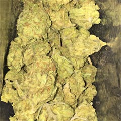 User uploaded image of Pine Cone