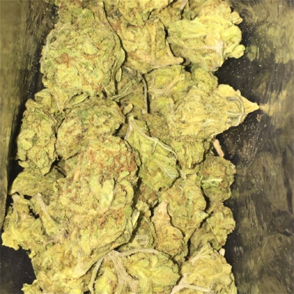 Photos of Pine Cone Weed Strain Buds Leafly