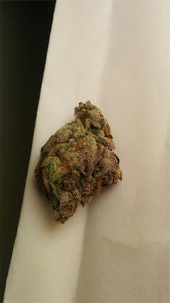 User uploaded image of Pine Tar