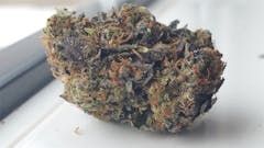 User uploaded image of Pine Tar