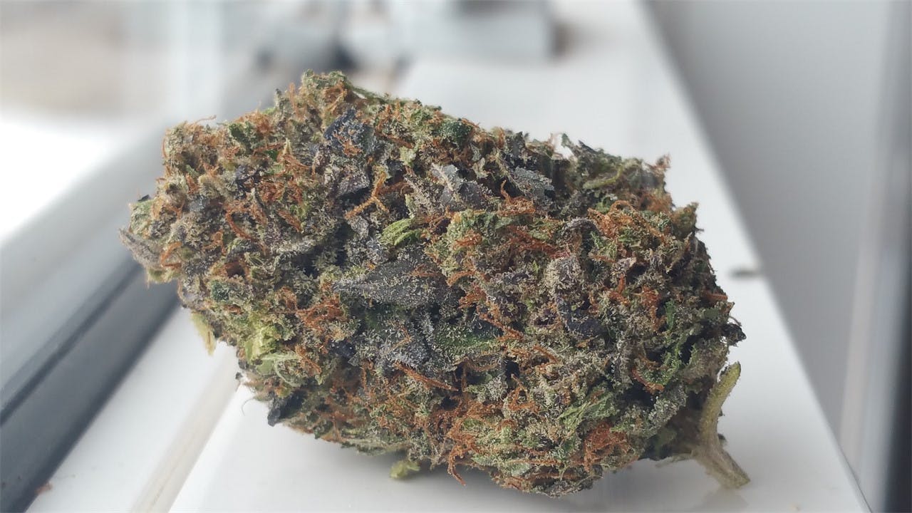 Pine Tar aka Pine Tar Kush, Pine Tar OG Weed Strain Information Leafly