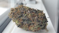 User uploaded image of Pine Tar