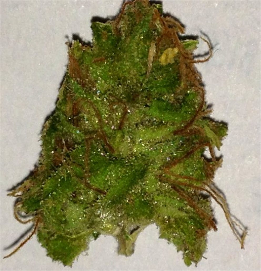 Photos of Pineapple Diesel Weed Strain Buds Leafly