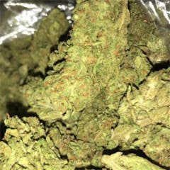 User uploaded image of Pineapple Diesel