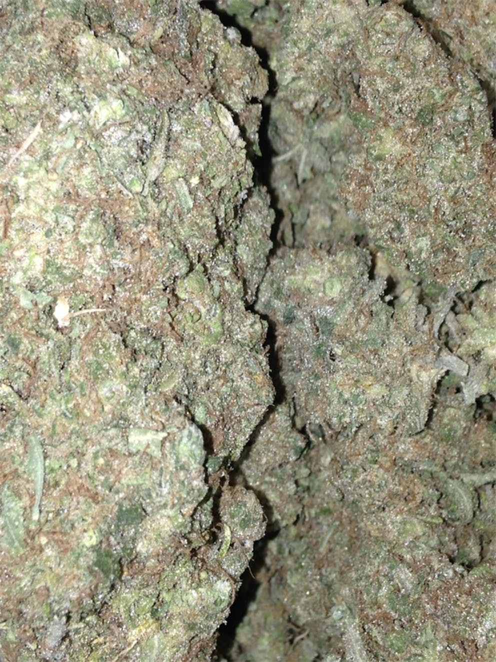 Photos of Pineapple Diesel Weed Strain Buds Leafly