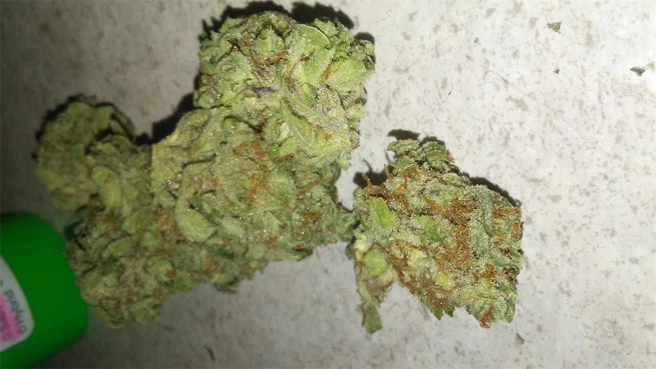 Pineapple Diesel Weed Strain Information Leafly