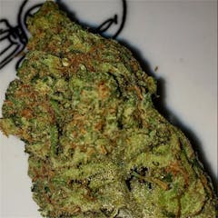 User uploaded image of Pineapple Diesel