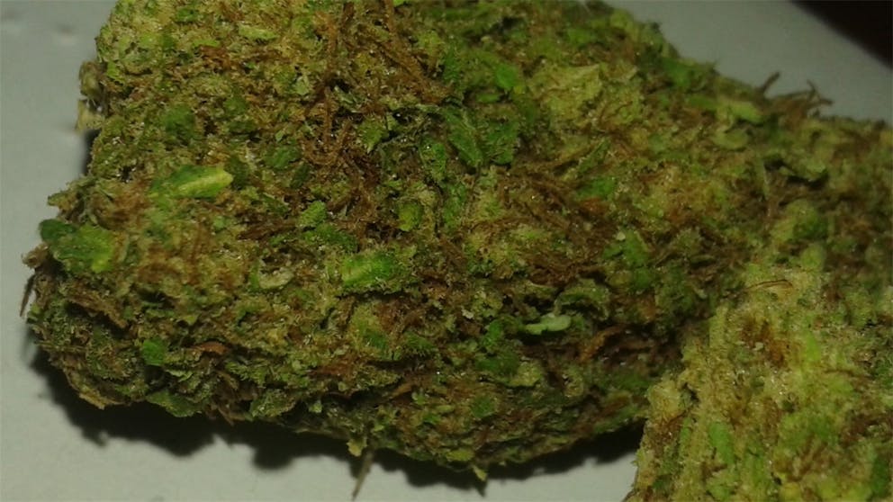 Photos of Pineapple Diesel Weed Strain Buds Leafly