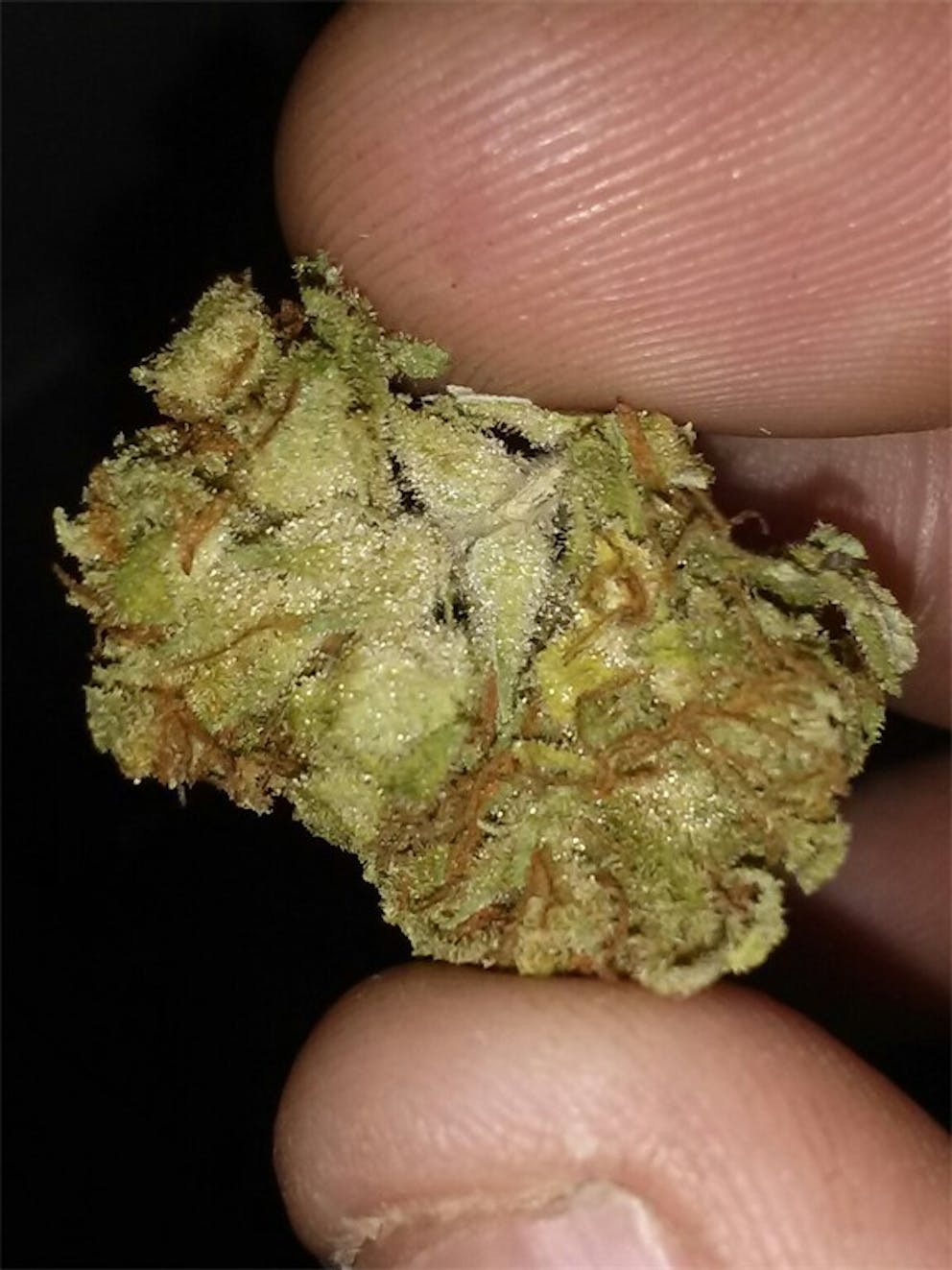 Photos of Pineapple Diesel Weed Strain Buds Leafly
