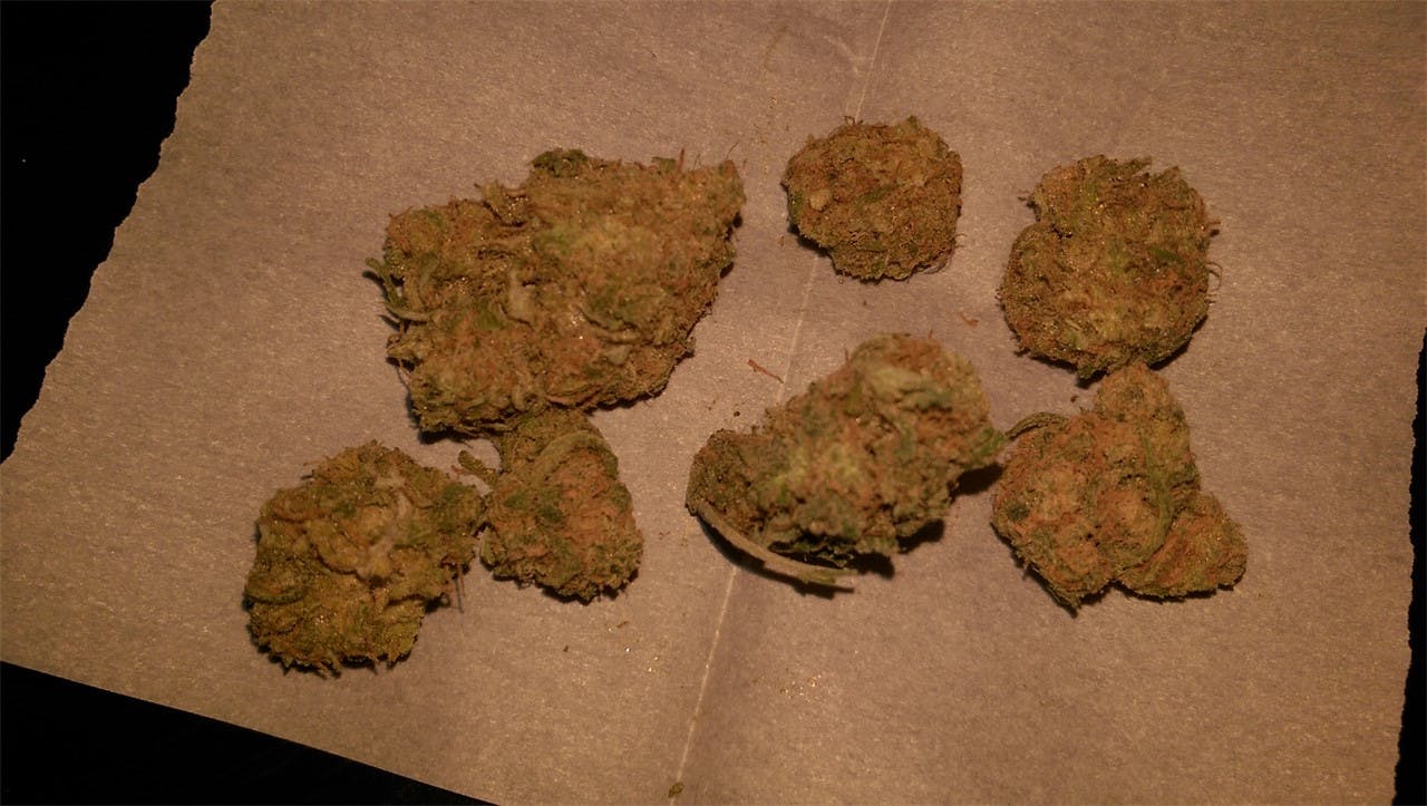 Pineapple Dog Shit Weed Strain Information Leafly