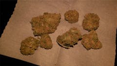 User uploaded image of Pineapple Dog Shit