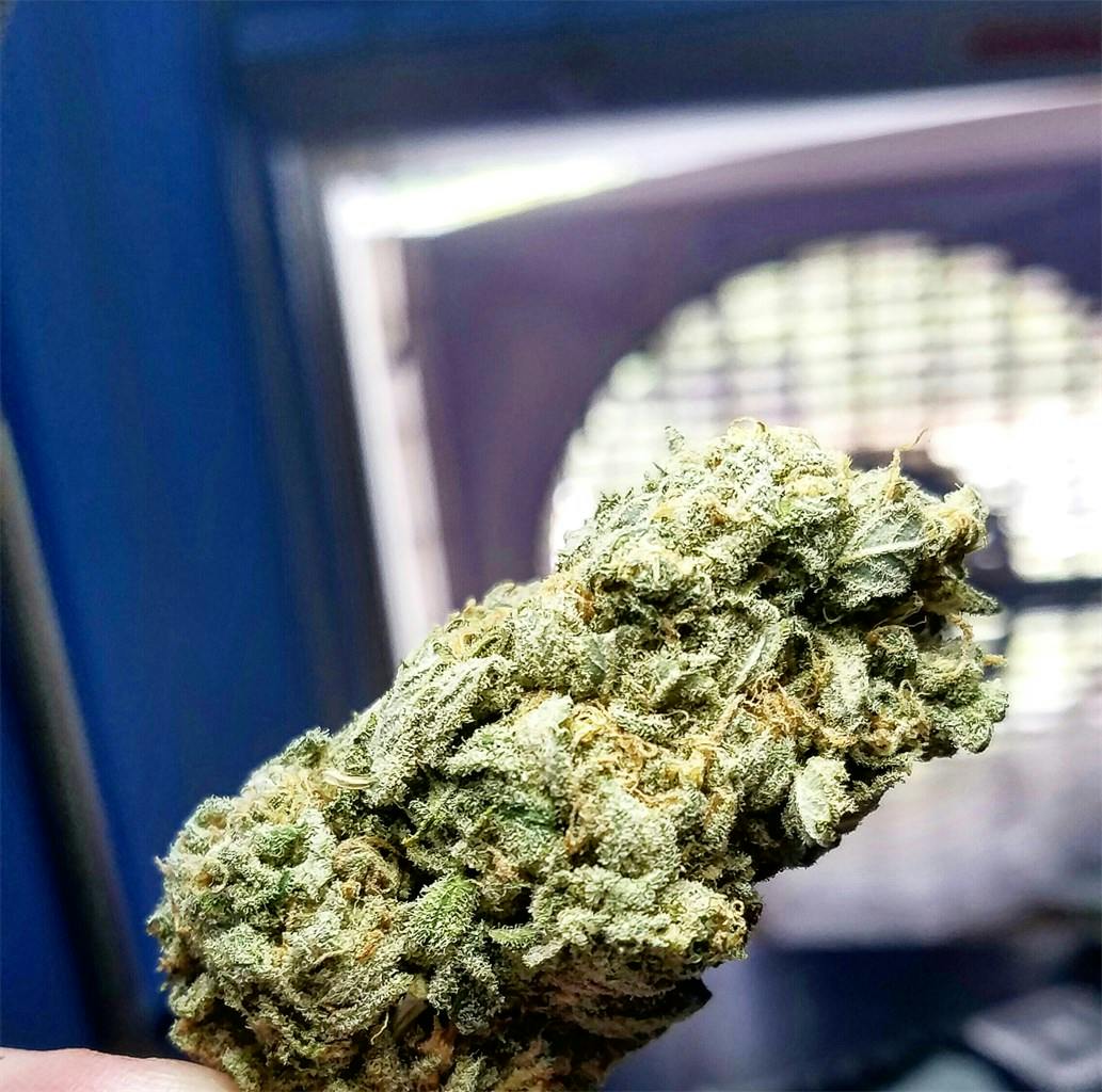 Pineapple Express Weed Strain Information Leafly